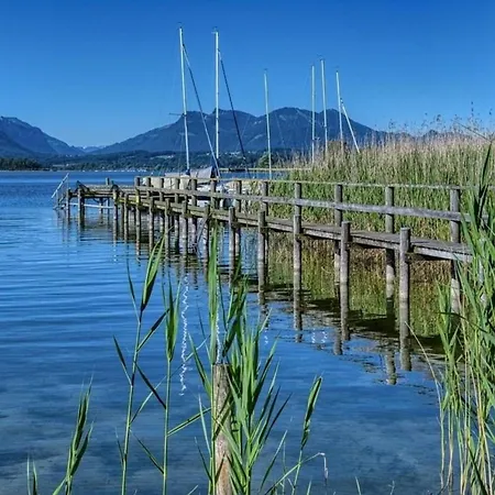 Bergfruehling